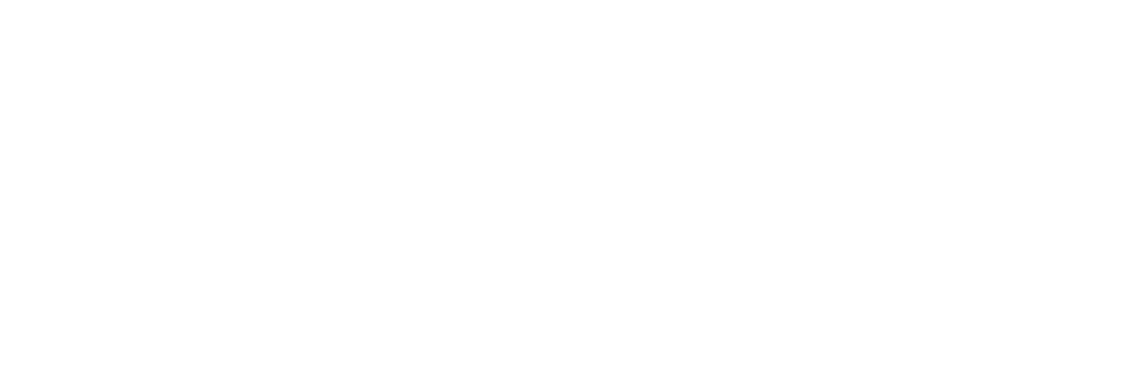Celer Inmobiliaria logo